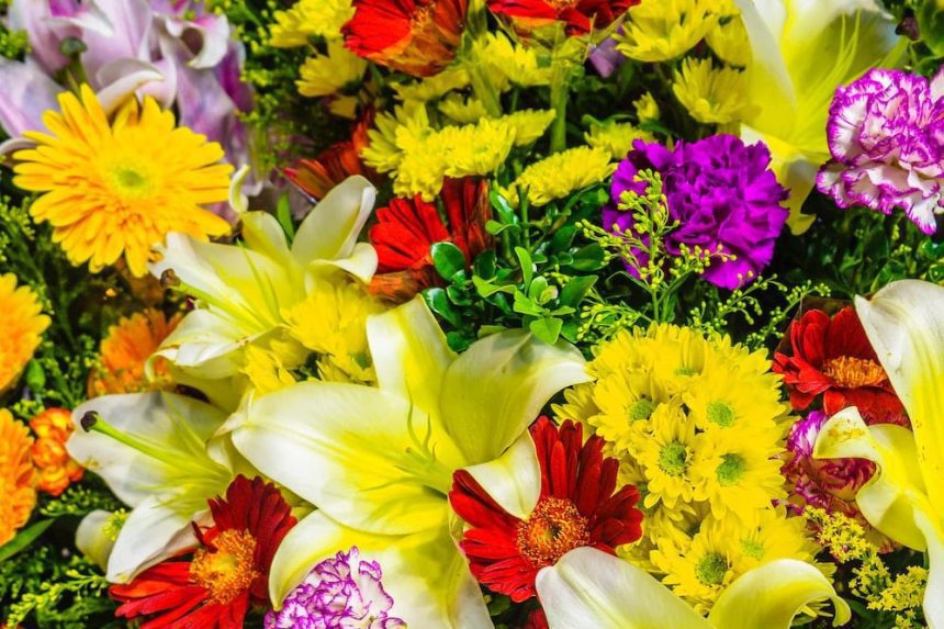 yellow and pink flowers with green leaves